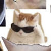 happykatz_girl